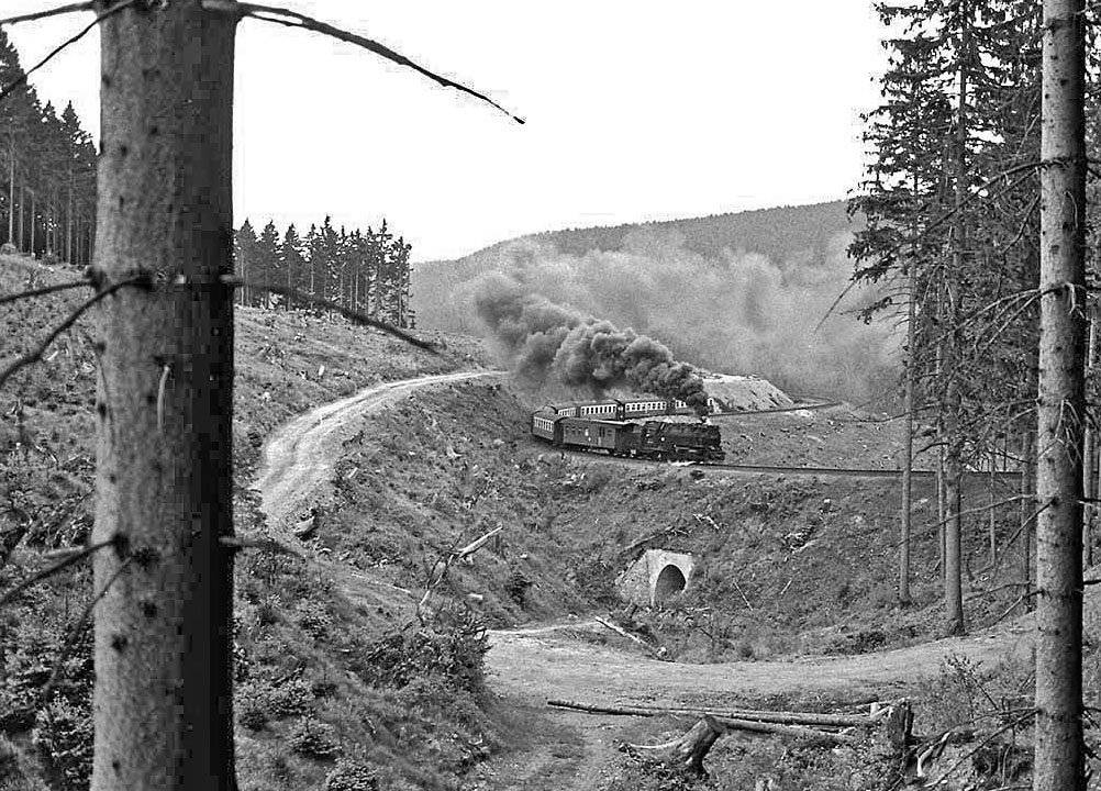 99-7241-rsp-draengetal-19900515-holzborn-sn3378kl