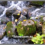 Den Moment festhalten mit der Atmung und der Kamera