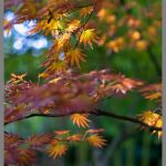 Die Natur achten