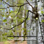 Naturfotografie