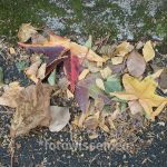 Testfoto mit Fujinon XF35mm F1.4 Objektiv
