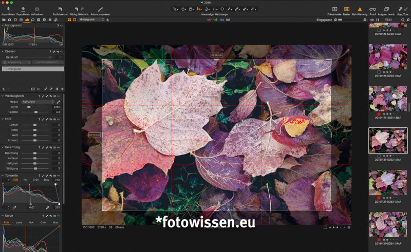 C1 20 - Neues Freistell-Werkzeug mit Rotation (Crop-Tool) C1 20 - Neues Freistell-Werkzeug mit Rotation (Crop-Tool)