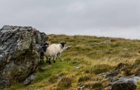 Äußere Hebriden North Uist