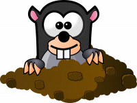 Der Maulwurf Der Maulwurf kommt