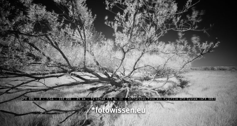 Infrarot fotografieren mit Fujifilm GFX 50S - Panorama