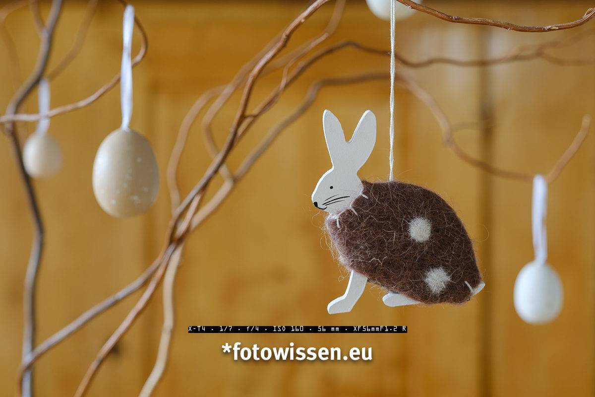 Osterhase und Ostereier - Persönlicher Foto-Ostergruß Osterhase und Ostereier - Persönlicher Foto-Ostergruß