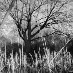 Testfotos X-T4 mit XF35mm F2