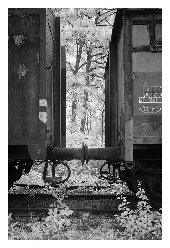 Begegnungen - Themenreihe 2 im LaPaDu - *fototagebuch