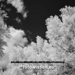 Infrarot Foto Fujifilm Kamera IR-Umbau
