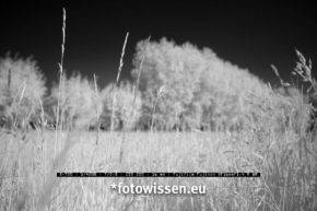Fujifilm Infrarot Kamera Umbau Test