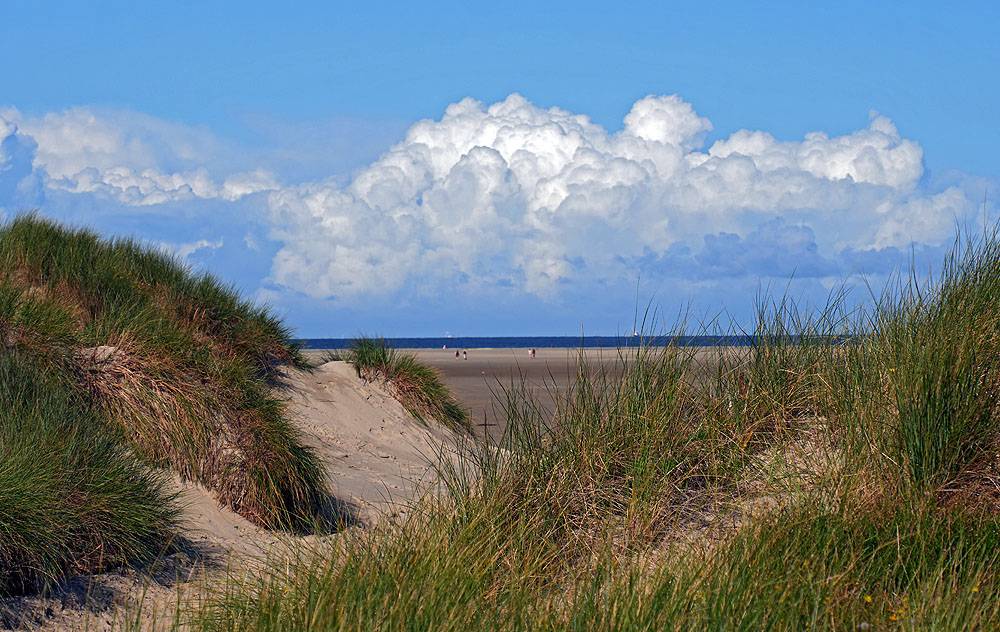 strand-auf-borkum-20190909-holzborn-8106kl