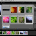 Bildbearbeitung / Fotoverwaltung Adobe Lightroom Classic