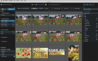 Ergebnis der Fotosuche in Excire Foto