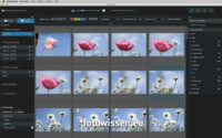 Excire Foto - Suchergebnis Blume und Blau