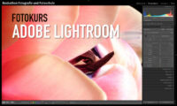 Individueller Fotokurs Adobe Lightroom - Lightroom Online-Kurs Fernkurs