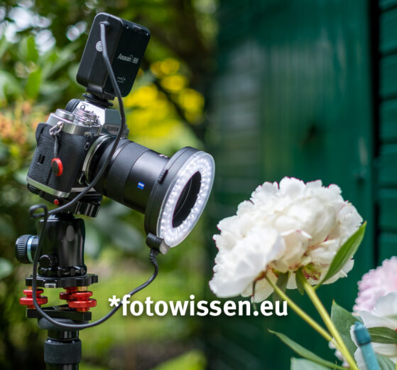 Makroblitz für Makrofotos - Makrodauerlicht LED