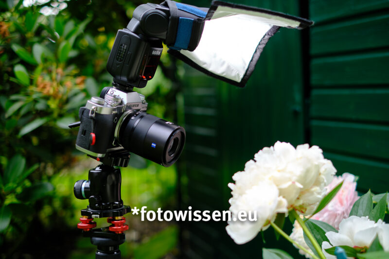 Makrofoto mit Systemblitz und aufgestecktem Reflektor von links Makrofoto mit Systemblitz und aufgestecktem Reflektor von links