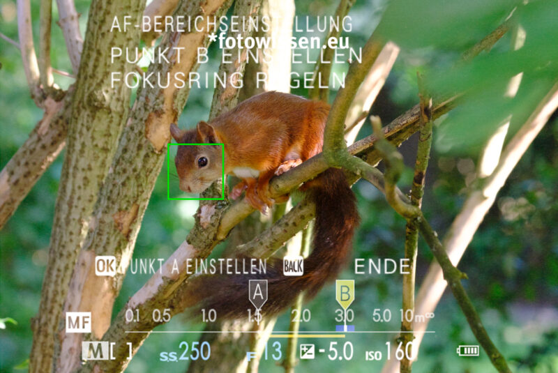 Fujifilm X-T4 Autofokus-Bereichsbegrenzung Fujifilm X-T4 Autofokus-Bereichsbegrenzung