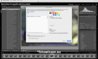 Excire Search 2 Lightroom Classic Plugin - Suche nach Stichwort