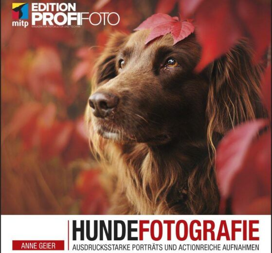 Hundefotografie - Anne Geier - mitp-Verlag