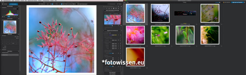 Beste Bildbearbeitung Software für Fotografen - DxO PhotoLab 4 Beste Bildbearbeitung Software für Fotografen - DxO PhotoLab 4 arbeitet auch mit 2 Monitoren
