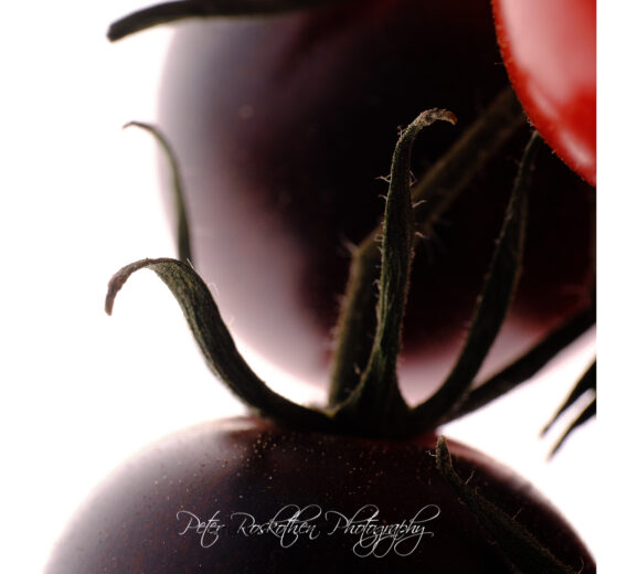 Aufgabe Tomate fotografieren