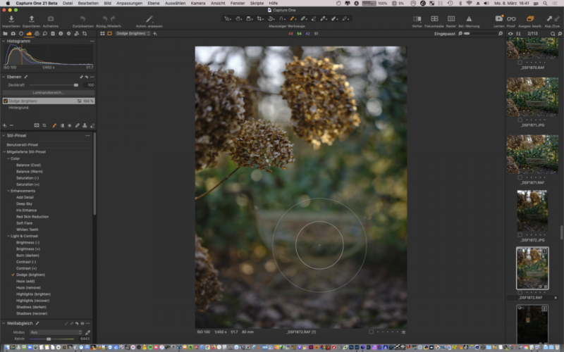 Capture One 21 Update Version 14.1 - Pinselvorgaben und Pinselstile Capture One 21 Update Version 14.1 - Pinselvorgaben und Pinselstile