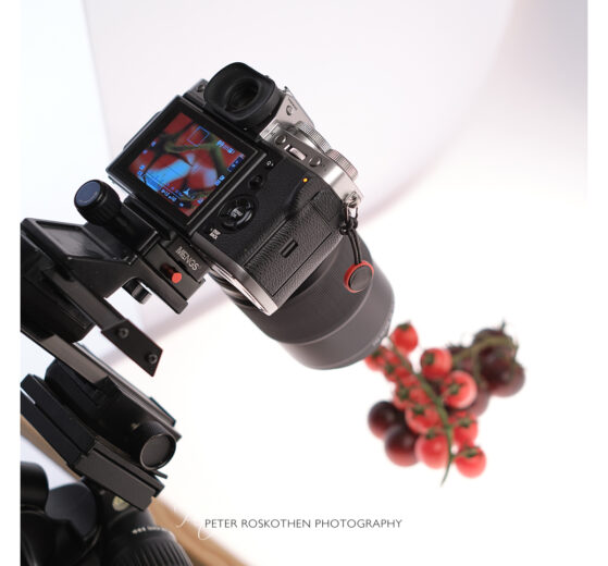 10 exklusive Tipps für die Makrofotografie 2 Making Of: Makrofoto auf dem Leuchttisch