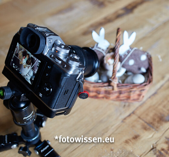 Online Fotokurs Einstieg in die Makrofotografie - Tutorial