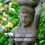 Testfoto Fujifilm XF70-300mm F4-5.6 R LM OIS WR