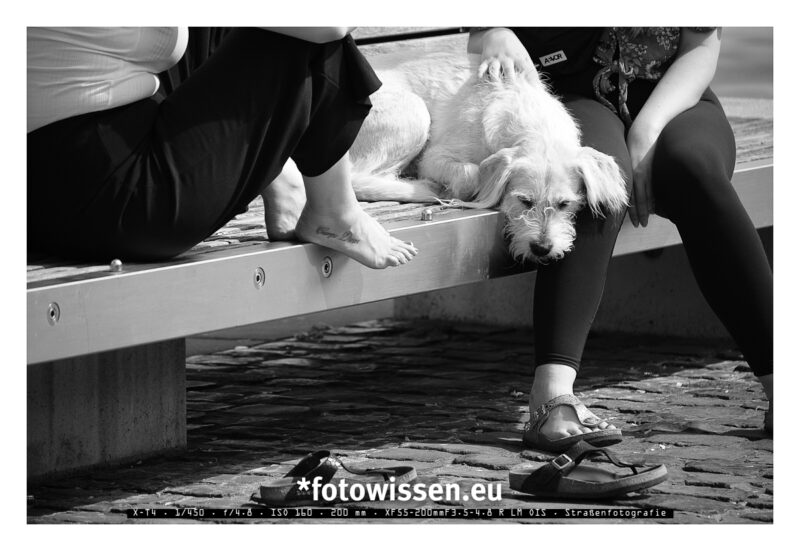 Carpe Diem - Straßenfotografie Köln mit *fotowissen Carpe Diem - Straßenfotografie Köln mit *fotowissen