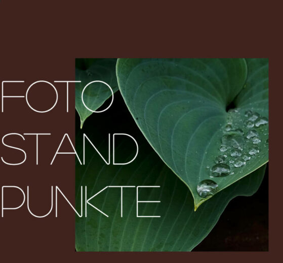 Fotostandpunkte - Fotograf Wolfgang Arenhövel vorgestellt