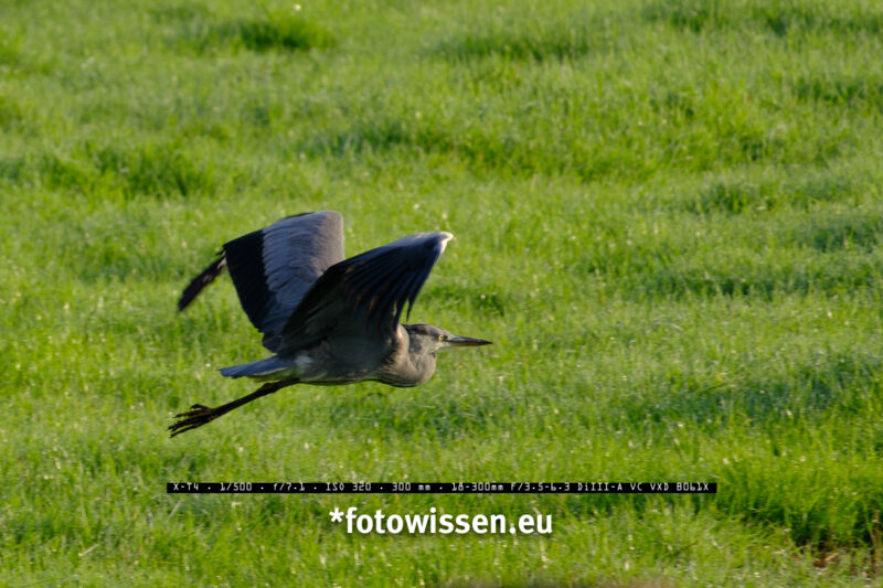 Testfoto Tamron 18-300mm für Fuji X-System - 211018-5079 Testfoto Tamron 18-300mm für Fuji X-System - 211018-5079