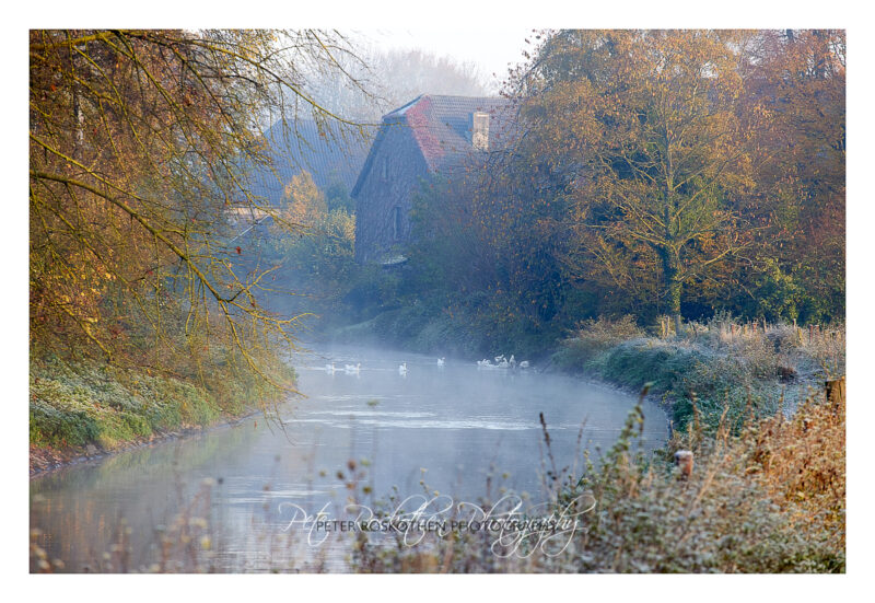 Winter Fotos - Weißen Frost fotografieren - 211111-5106-c1-c1