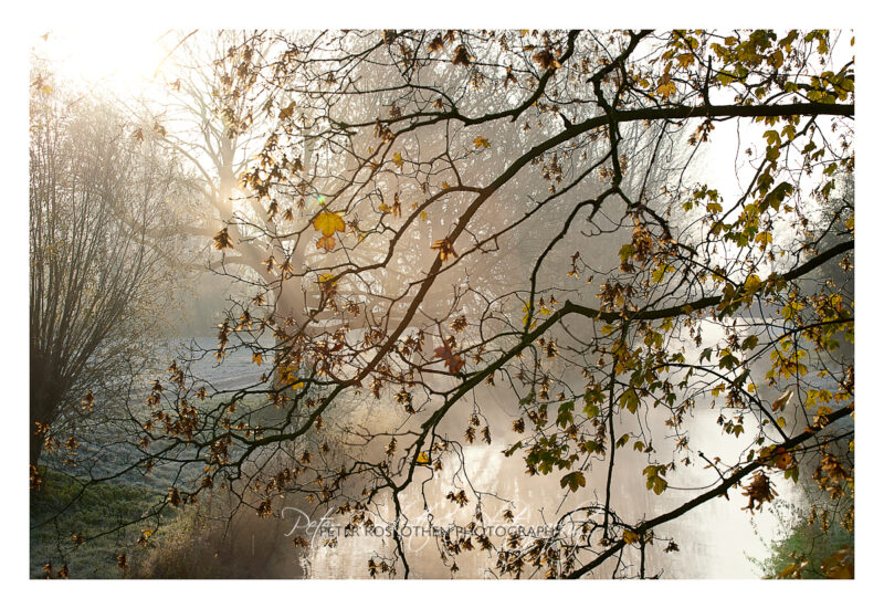Winter Fotos - Weißen Frost fotografieren - 211111-5118-c1-c1 Winter Fotos - Weißen Frost fotografieren - 211111-5118-c1-c1