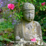 Gemeinsam Fotografieren Foto Geraldine Roskothen 220415-5019
