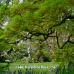 Gemeinsam Fotografieren Foto Geraldine Roskothen 220415-5025