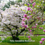 Gemeinsam Fotografieren Foto Geraldine Roskothen 220415-5032
