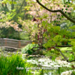 Gemeinsam Fotografieren Foto Geraldine 220415-5040