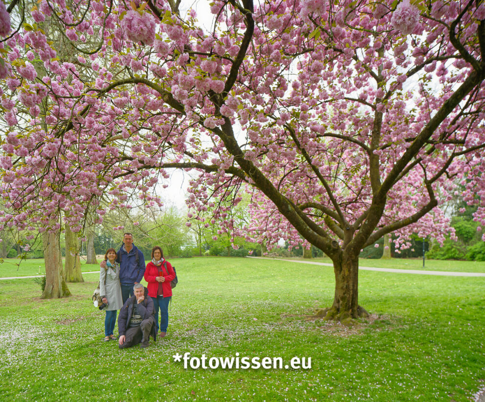 Gemeinsam Fotografieren macht Spaß - *fotowissen On Tour in Leverkusen