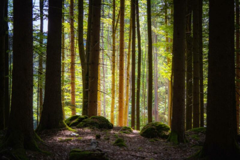 Raus in die Natur fotografieren - 1 Raus in die Natur fotografieren - 1