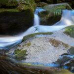 Raus in die Natur fotografieren
