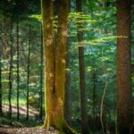 Raus in die Natur fotografieren