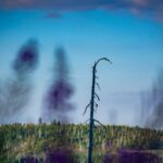 Raus in die Natur fotografieren