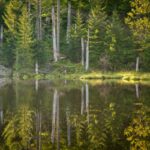 Raus in die Natur fotografieren