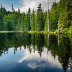 Raus in die Natur fotografieren