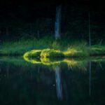 Raus in die Natur fotografieren