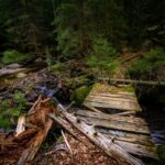 Raus in die Natur fotografieren