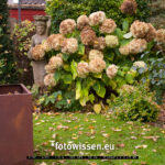 Testfoto X-H2 ISO 125 - 221028-7016