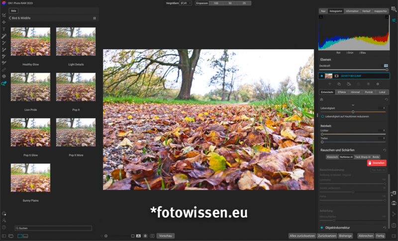 On1 Photo RAW 2023 Bildbearbeitung Software